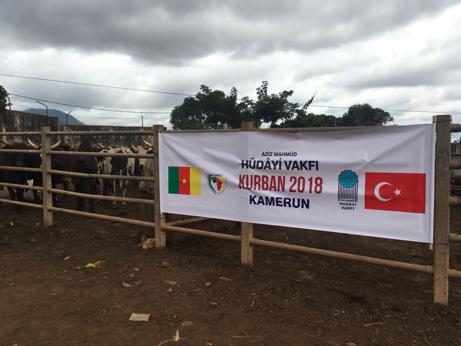 2018 YURT DIŞI KURBAN FOTOĞRAFLARI