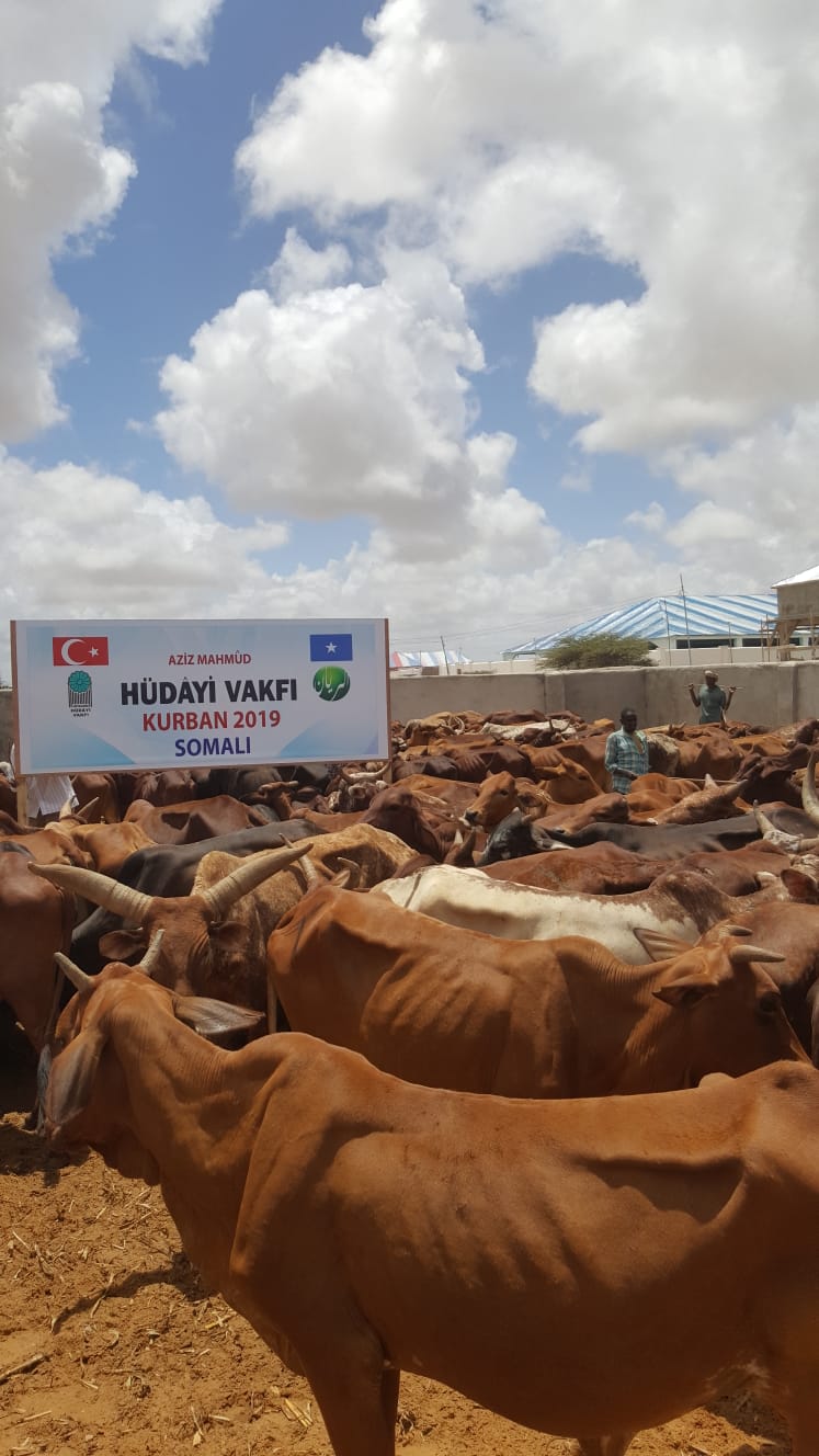 2019 YURT DIŞI KURBAN FOTOĞRAFLARI