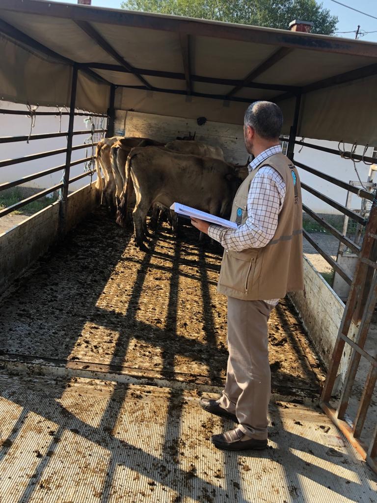 2019 YURT DIŞI KURBAN FOTOĞRAFLARI