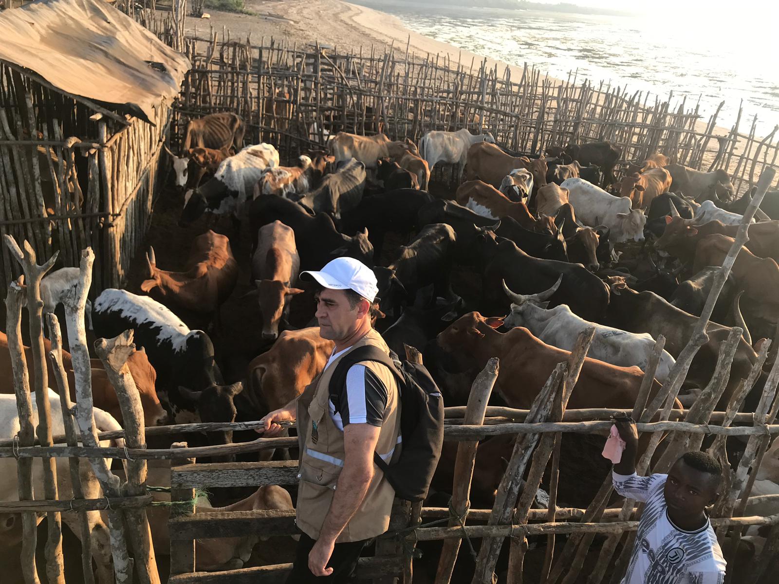 2019 YURT DIŞI KURBAN FOTOĞRAFLARI