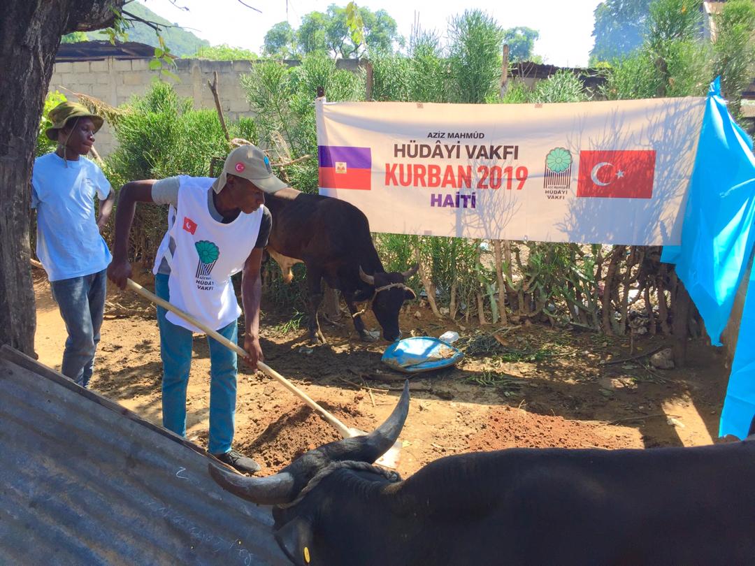 2019 YURT DIŞI KURBAN FOTOĞRAFLARI
