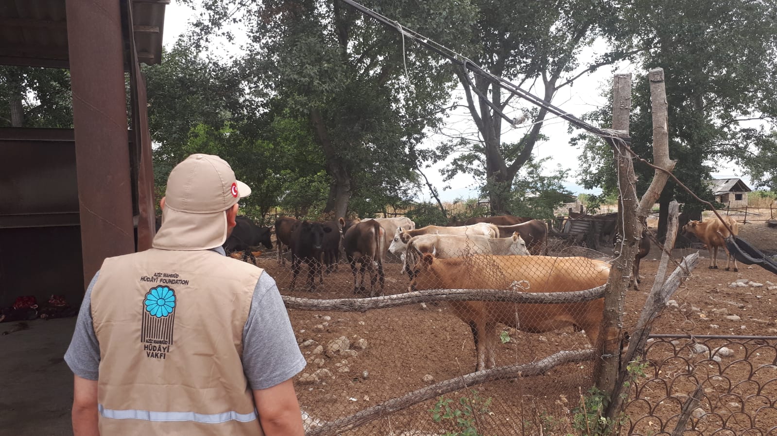 2019 YURT DIŞI KURBAN FOTOĞRAFLARI
