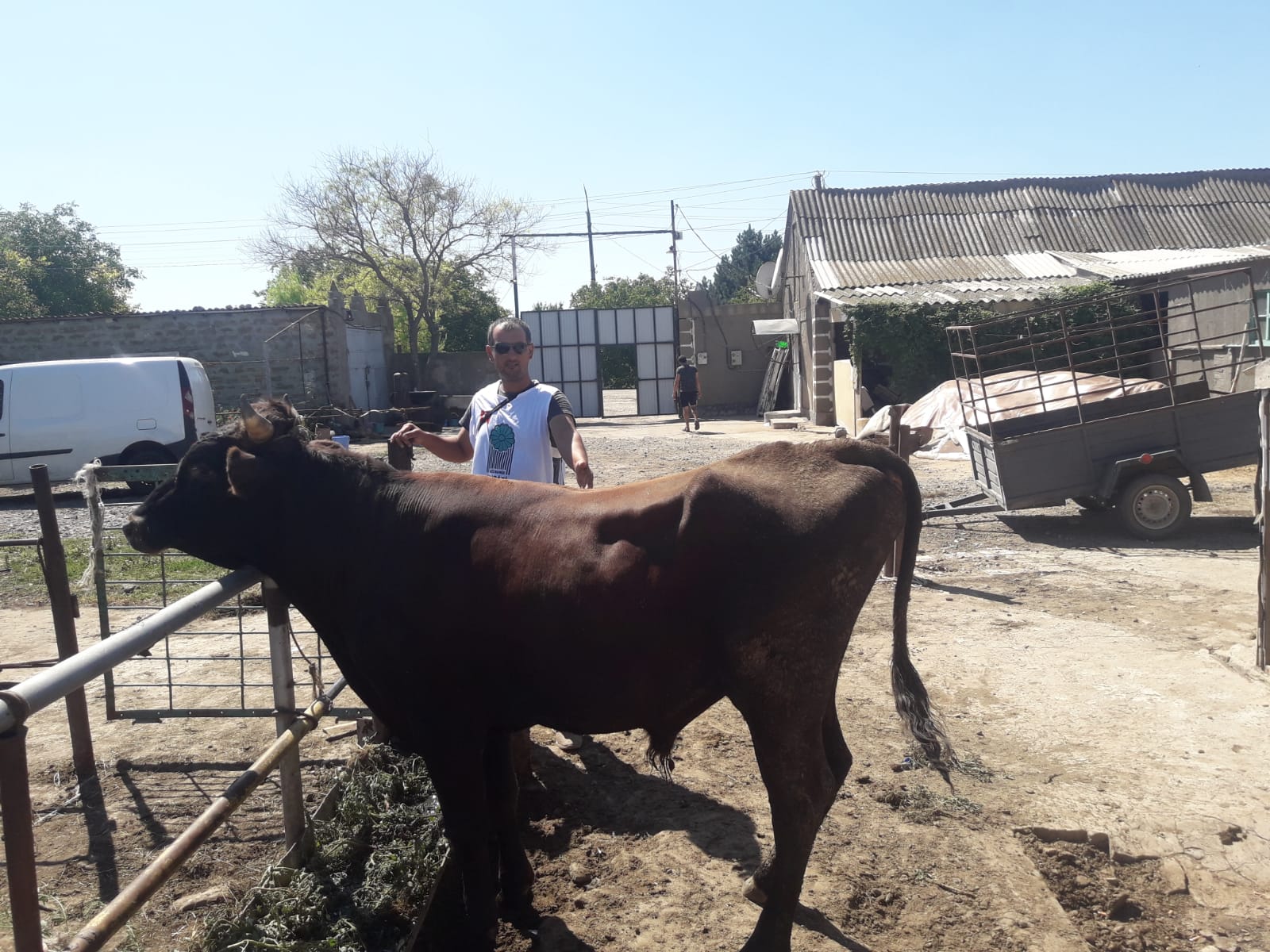 2019 YURT DIŞI KURBAN FOTOĞRAFLARI
