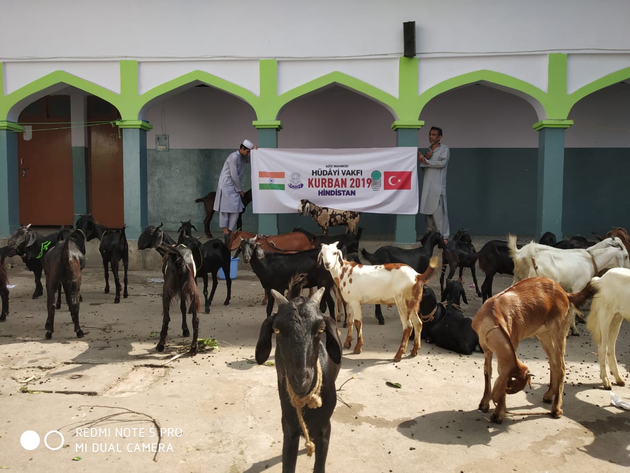 2019 YURT DIŞI KURBAN FOTOĞRAFLARI