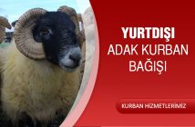 YURTDIŞI ADAK KURBAN BAĞIŞI