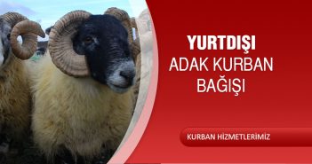 YURTDIŞI ADAK KURBAN BAĞIŞI