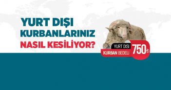 KURBANLARINIZ NASIL KESİLİYOR?