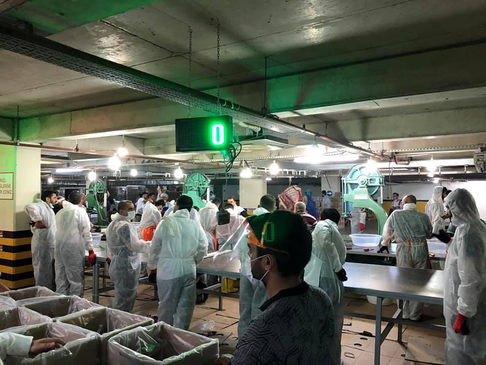 2020 YURT DIŞI KURBAN FOTOĞRAFLARI