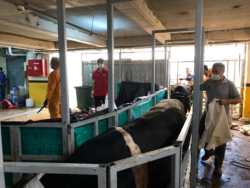 2020 YURT DIŞI KURBAN FOTOĞRAFLARI