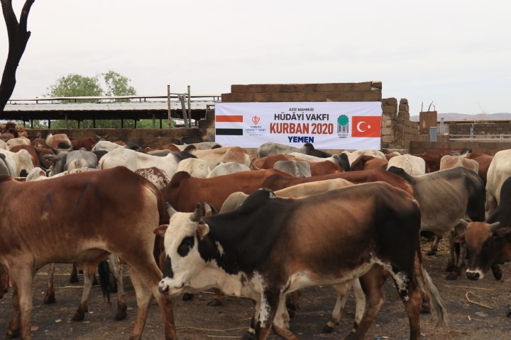 2020 YURT DIŞI KURBAN FOTOĞRAFLARI