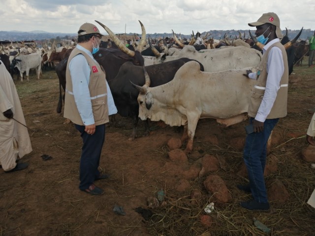 2020 YURT DIŞI KURBAN FOTOĞRAFLARI