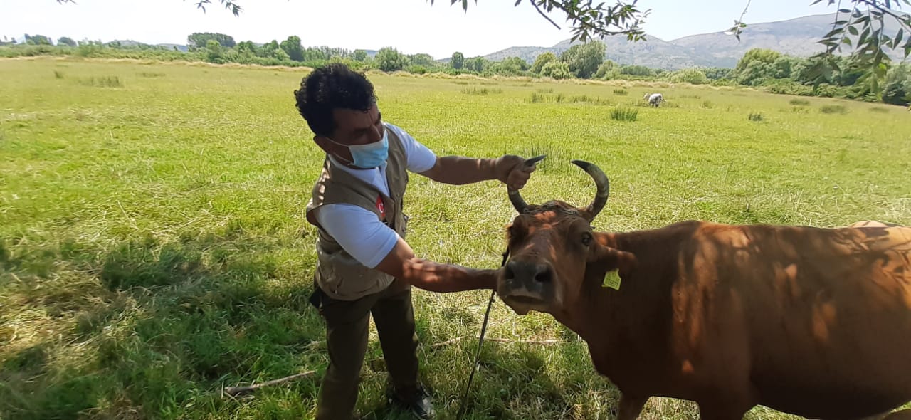 2020 YURT DIŞI KURBAN FOTOĞRAFLARI