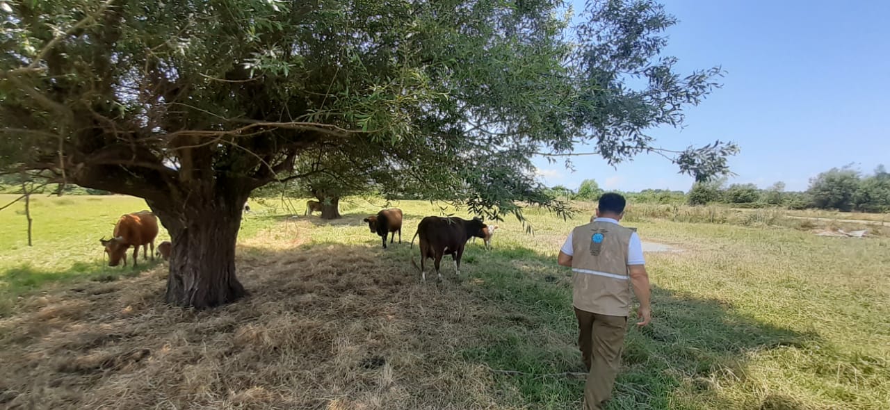 2020 YURT DIŞI KURBAN FOTOĞRAFLARI