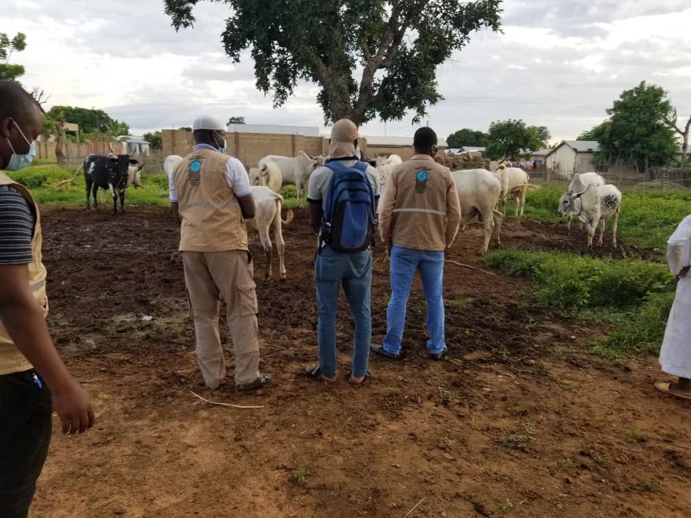 2020 YURT DIŞI KURBAN FOTOĞRAFLARI