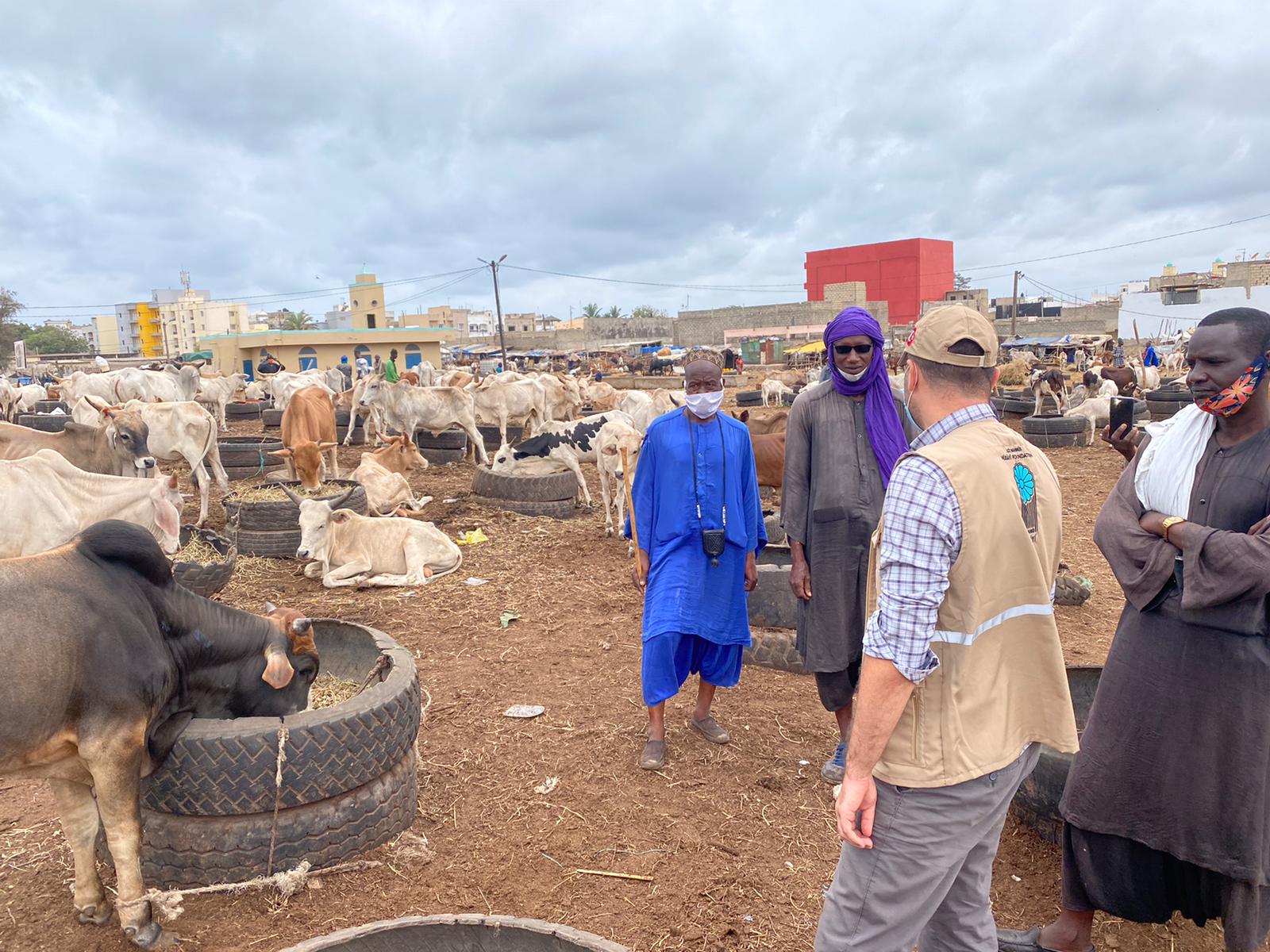 2020 YURT DIŞI KURBAN FOTOĞRAFLARI