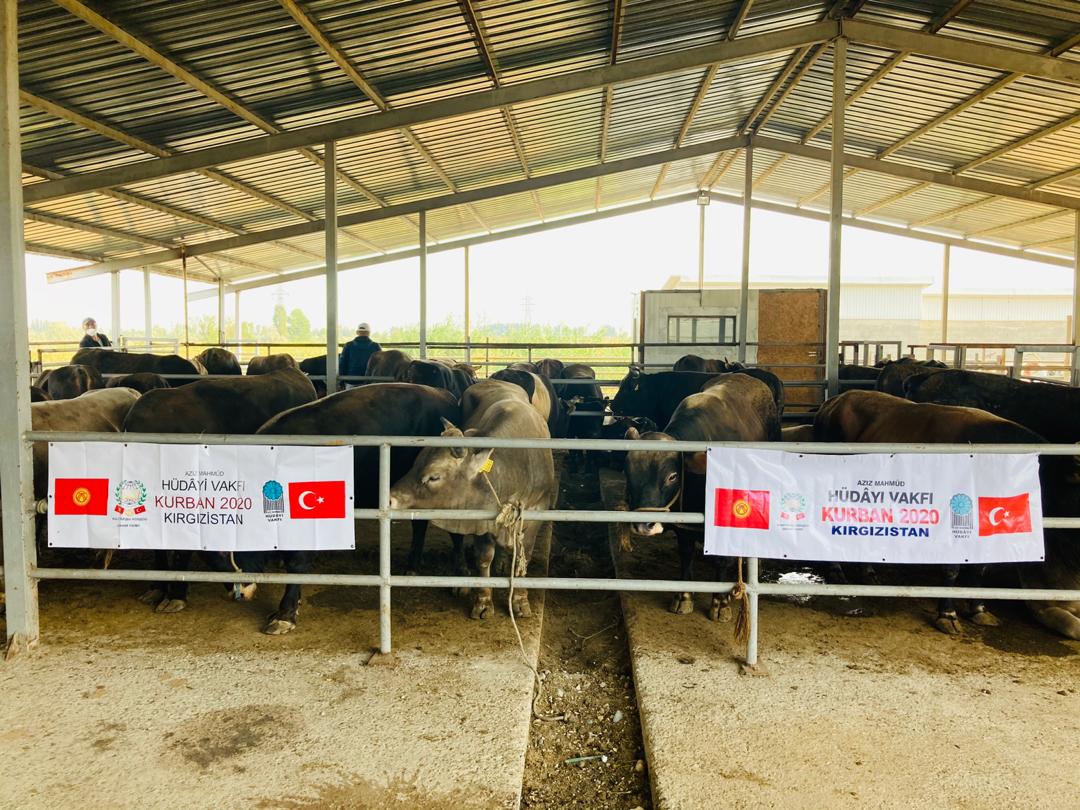 2020 YURT DIŞI KURBAN FOTOĞRAFLARI