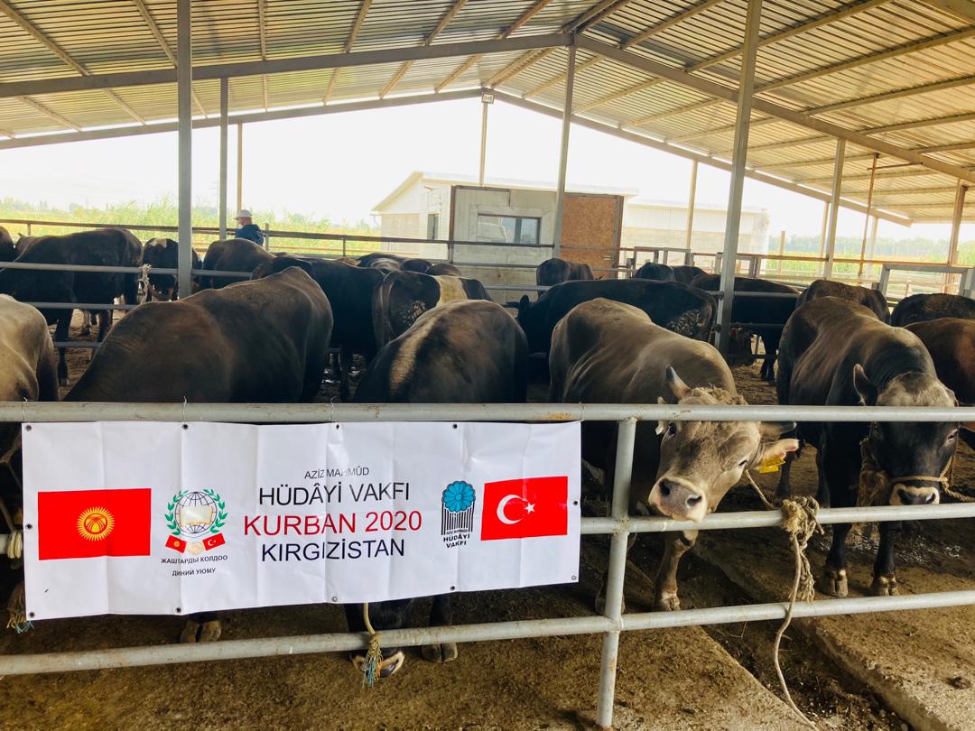 2020 YURT DIŞI KURBAN FOTOĞRAFLARI