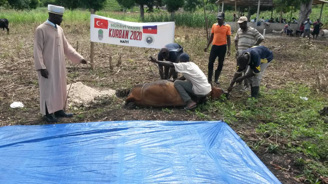 2020 YURT DIŞI KURBAN FOTOĞRAFLARI