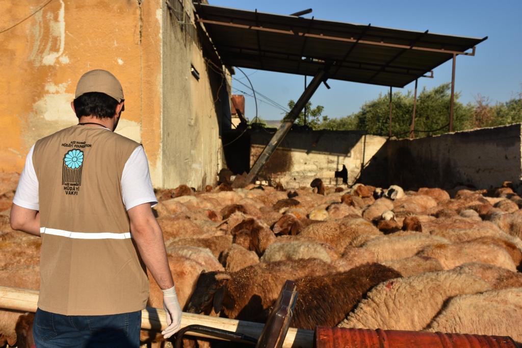 2020 YURT DIŞI KURBAN FOTOĞRAFLARI