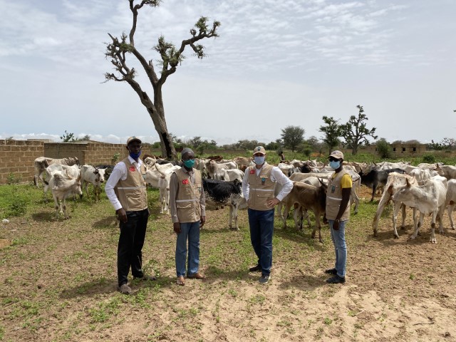 2020 YURT DIŞI KURBAN FOTOĞRAFLARI