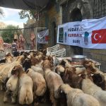 kurban23